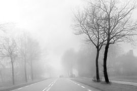 Nebel an einem Wintertag.
