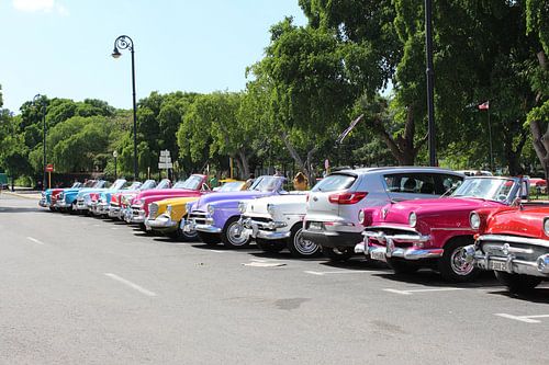 Alte Autos von Kuba