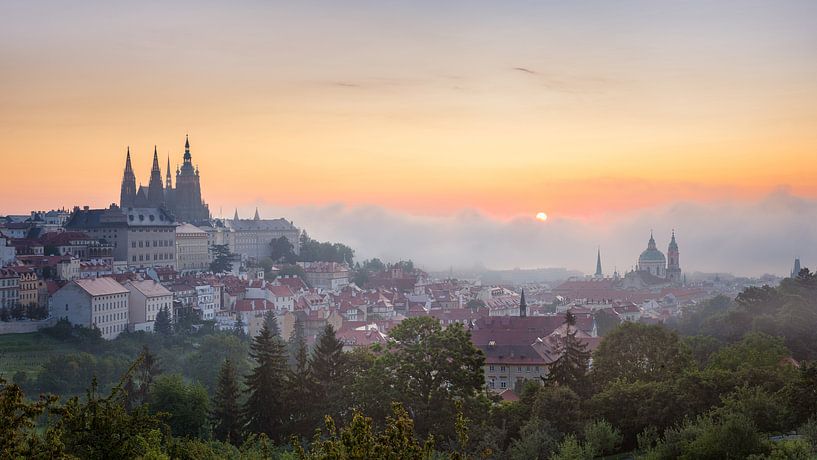 Prague Skyline from Petřín Hill by Alex Riemslag