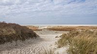 Schiermonnikoog
