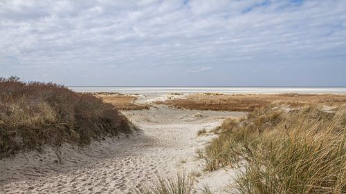 Schiermonnikoog