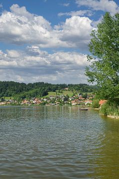 Hopfen am See,Allgäu,Beieren,Duitsland van Peter Eckert