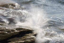 Pure nature by Andreas Wemmje