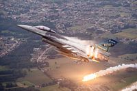 Luchtfoto Belgische F-16AM met special paint