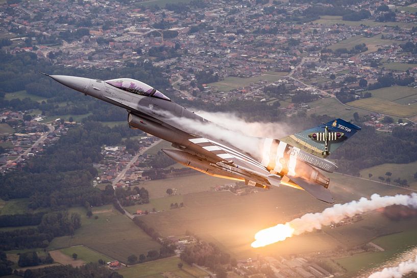 Aerial photo of Belgian F-16AM with special paint by ross_impress