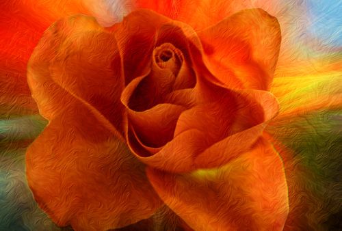 ABSTRACT : FLORA - DE ROOS