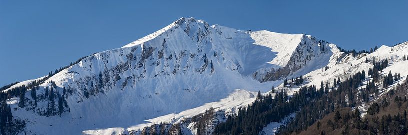 Mountain panorama Fellhorn by Walter G. Allgöwer