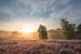 Sonnenaufgang auf der Brunssummerheide von John van de Gazelle