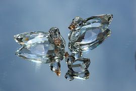 Radiant family by Daniëlle Eibrink Jansen