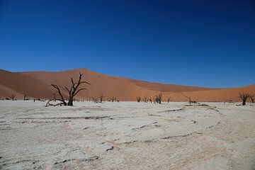 Sossusvlei (Deathvlei) Namibië (Namib-Naukluft Park van Merijn Loch