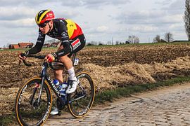 Tim Merlier gewinnt in Nokere von FreddyFinn