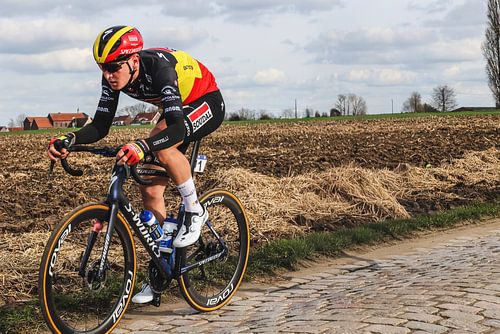 Tim Merlier to win in Nokere