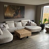 Photo de nos clients: L'élan et la brume matinale par ByNoukk, sur toile