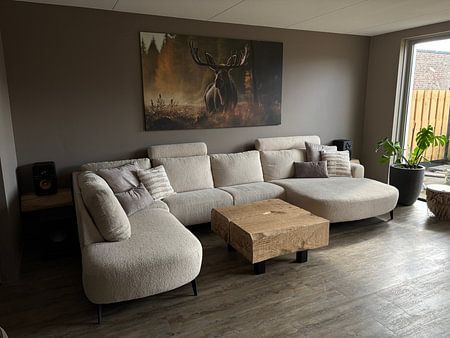 Der Elch und der Morgennebel