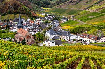 Weinort Mayschoss im Ahrtal, Eifel von Gijs Rijsdijk