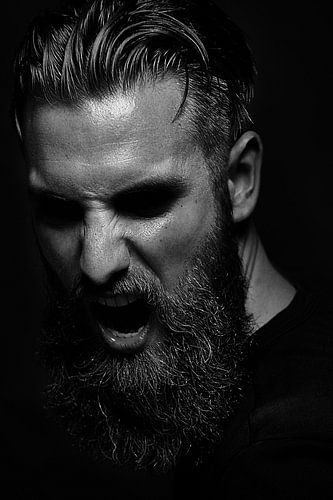 Scream to the shadow