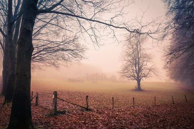 Domaine par un matin d'hiver brumeux par Mayra Fotografie