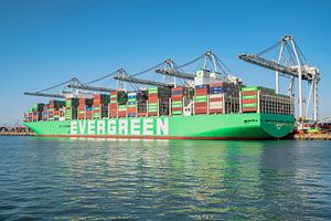 Containerschiff am Containerterminal angedockt