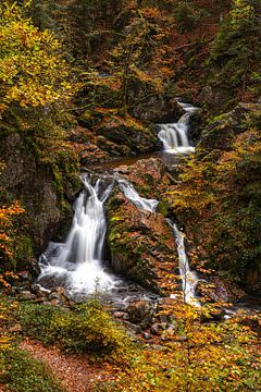 Autumn at the small waterfall of Tendon by Alexander Wolff