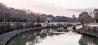 De Tiber in Rome