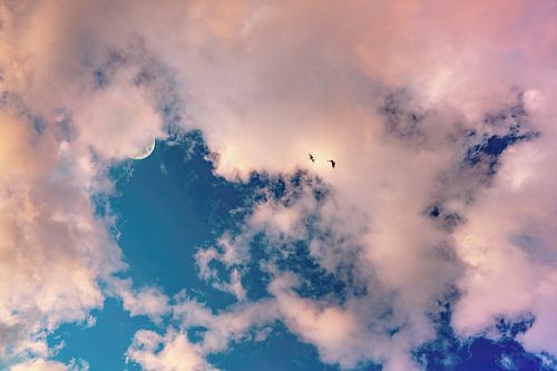 Wolkendek roze en dromerig