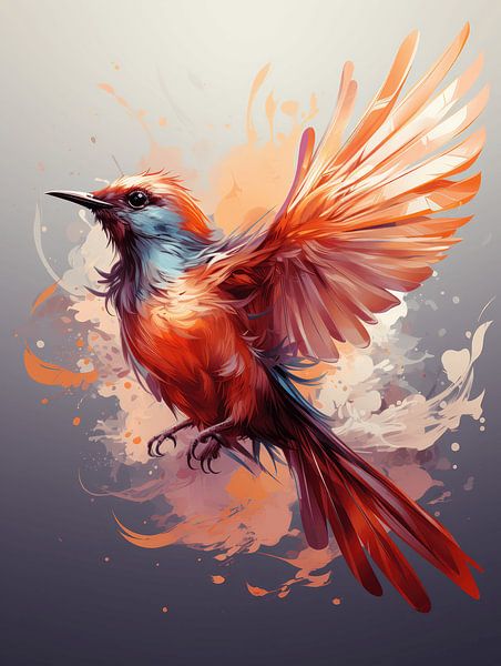 Colour explosion by Eva Lee