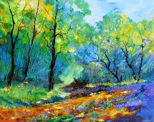 Magisch bos van pol ledent