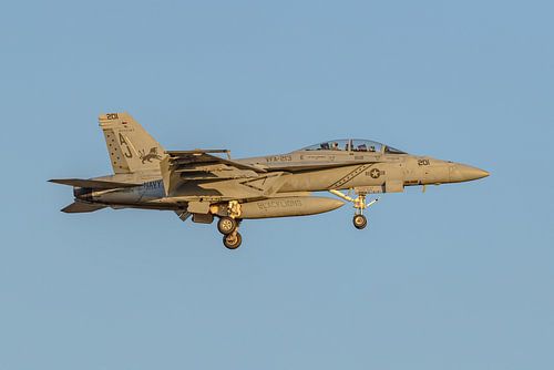 F/A-18F Super Hornet van VFA-213 Black Lions.
