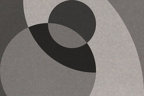 Scandinavische Zen: Grijze Cirkel Abstractie VII