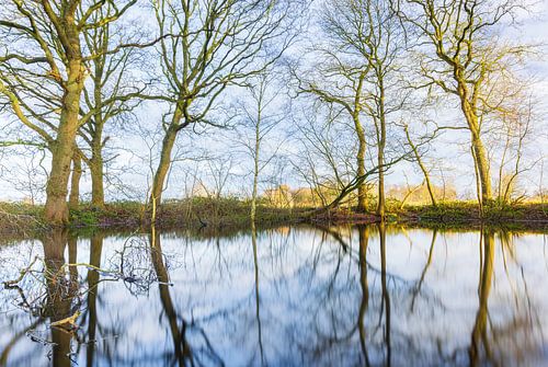Natuurgebied Appelbergen - Glimmen (Nederland)