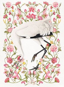 About Cranes in Gardens