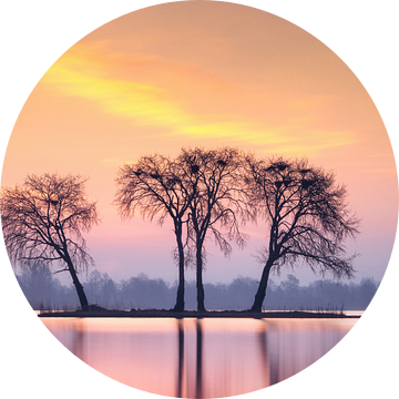 Reeuwijkse plassen. van Richard Nell