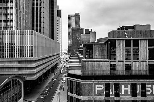 Rotterdam in black and white