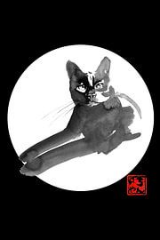 Legekatze in weiß von Péchane Sumie