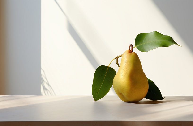 Nature morte esthétique par fernlichtsicht