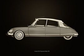 Citroën DS-23 Injectie Pallas van Jan Keteleer