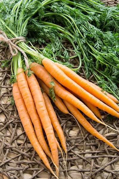 Trosje wortels by Tess Smethurst-Oostvogel