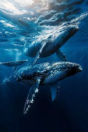 Bultruggen / Walvissen in de oceaan van PixelPrestige