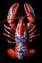 Lobster Luxe - RED Delft Blue CANCER by Marianne Ottemann - OTTI thumbnail
