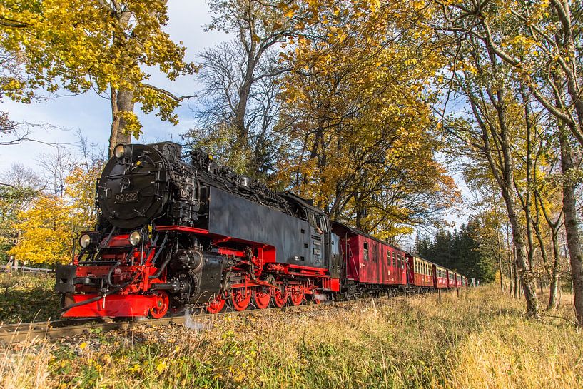 herfst in de Harz met HSB 99 222 van Marcel Timmer