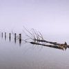 Stille im Nebel-ein Morgen am Ammersee von Christina Bauer Photos