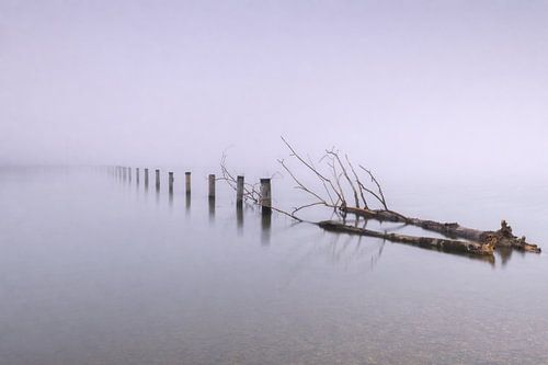 Silence in the fog – a morning on Lake Ammersee