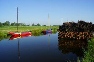 Nieuwkoopse Plassen van Michel van Kooten