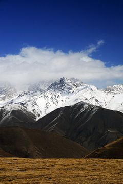 Besneeuwde toppen, Tiensjan gebergte in Kirgizië. van Ton Bijvank