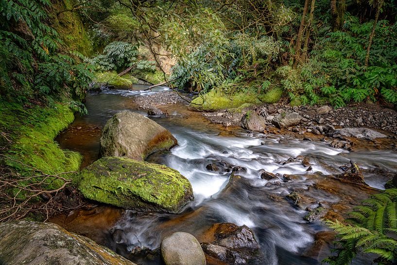 Fließendes Wasser durch üppiges Grün von Heiko Meier