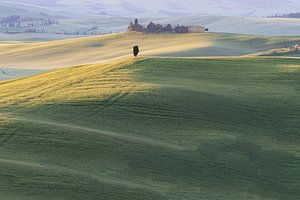 Paysage au lever du soleil, Val d'Orcia,