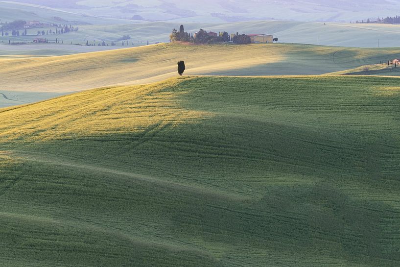 Landschap bij zonsopgang, Val d'Orcia, van Walter G. Allgöwer