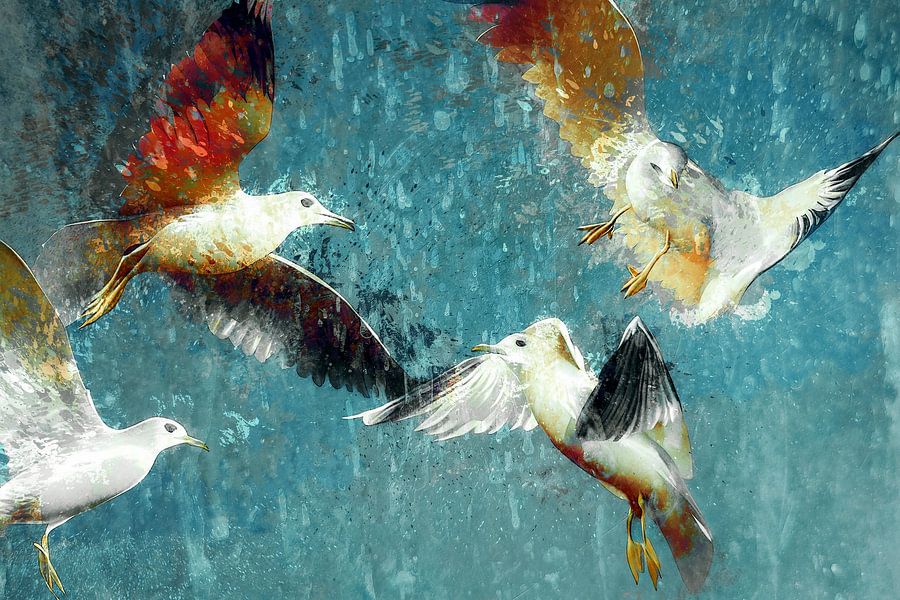 Dansende meeuwen in de lucht