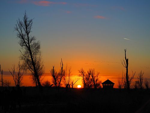 Zonsondergang aan de Oostvaardersplassen