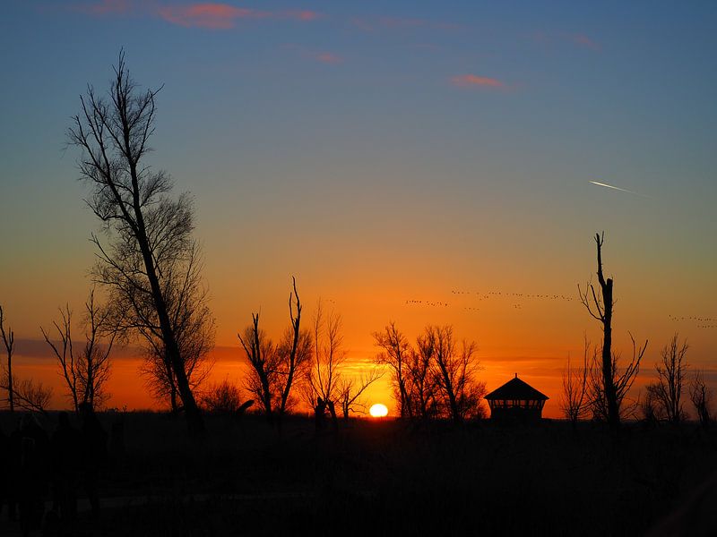 Zonsondergang aan de Oostvaardersplassen par Daan van Gils